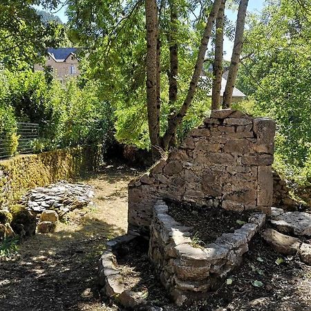 Maison Traditionnelle En Lozere Saint-Saturnin  Exteriér fotografie